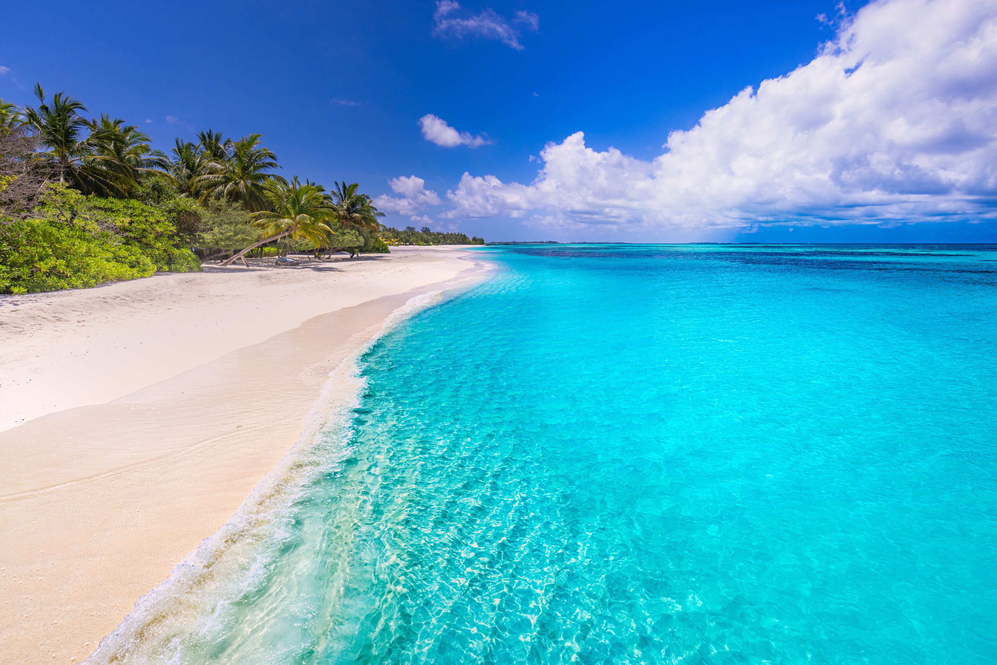 Beautiful, relaxing outdoor landscape of tropical island beach. Palm trees over blue azure ocean lagoon. Exotic traveling destination, summer vacation, beach seaside. Colorful nature sea sand sky view