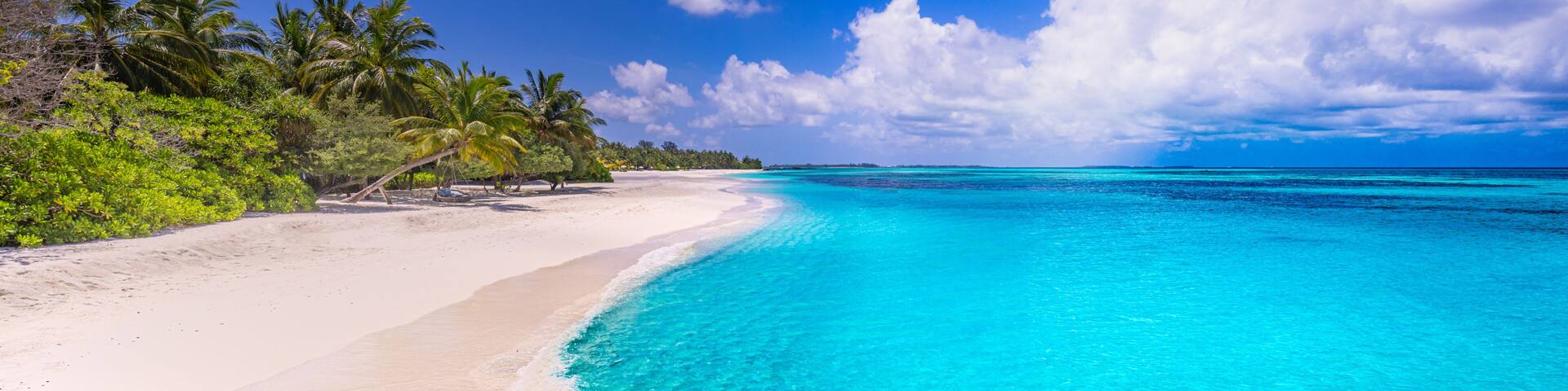 Beautiful, relaxing outdoor landscape of tropical island beach. Palm trees over blue azure ocean lagoon. Exotic traveling destination, summer vacation, beach seaside. Colorful nature sea sand sky view