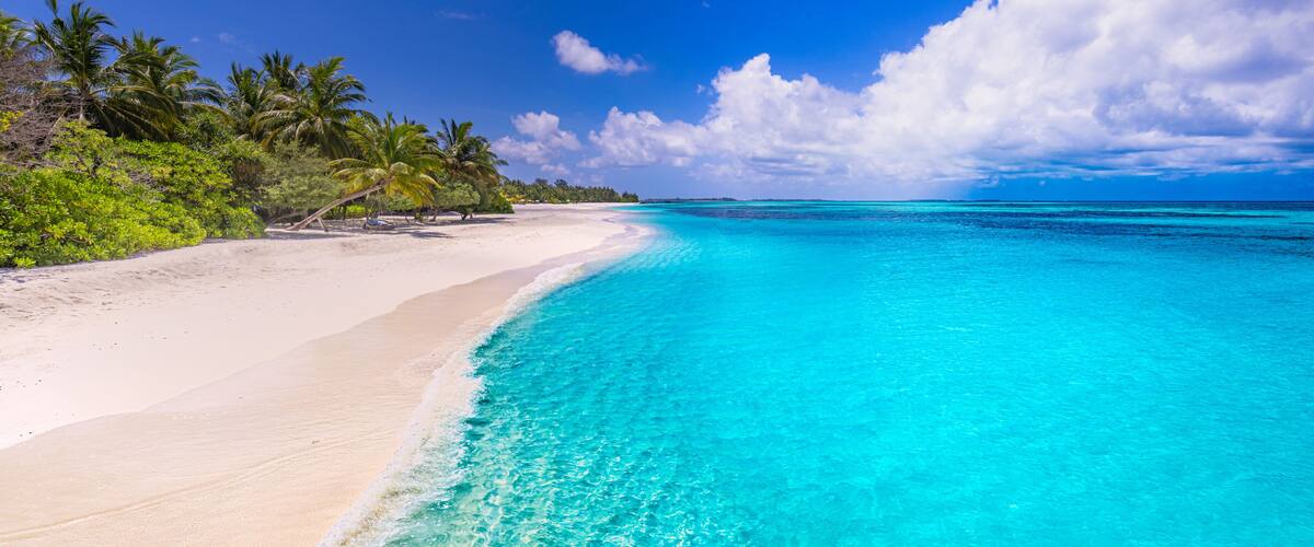 A turquoise beach with white sand, palm trees, and clear blue water.