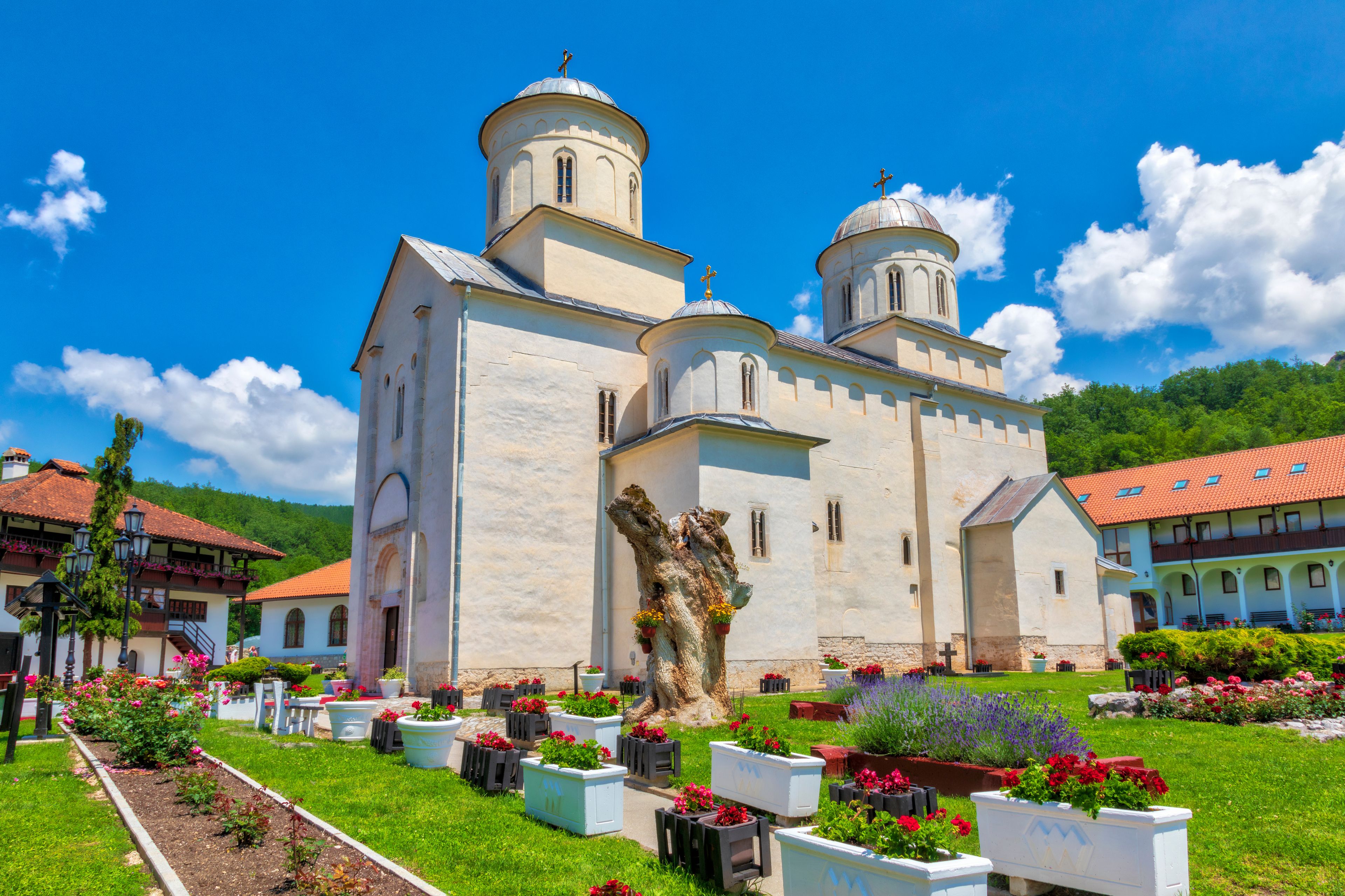 Prijepolje