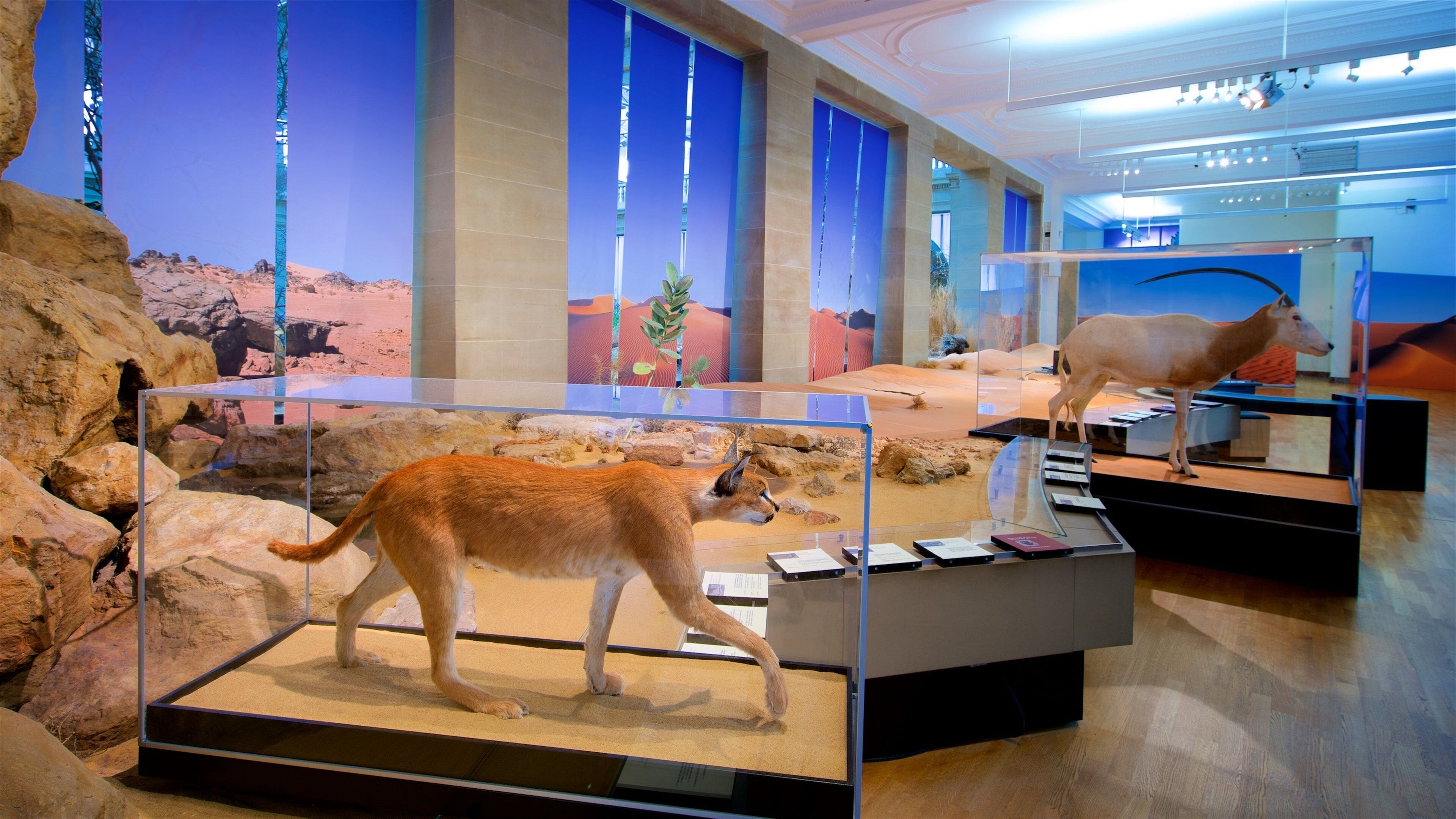 Alexander Koenig Research Museum