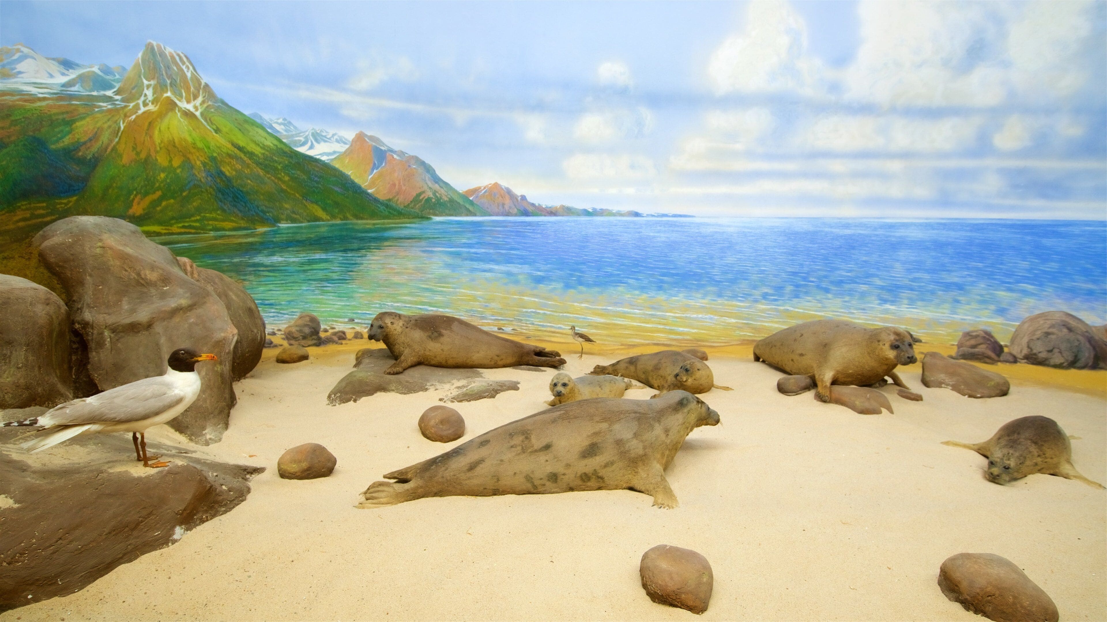 알렉산더 쾨니히 연구박물관