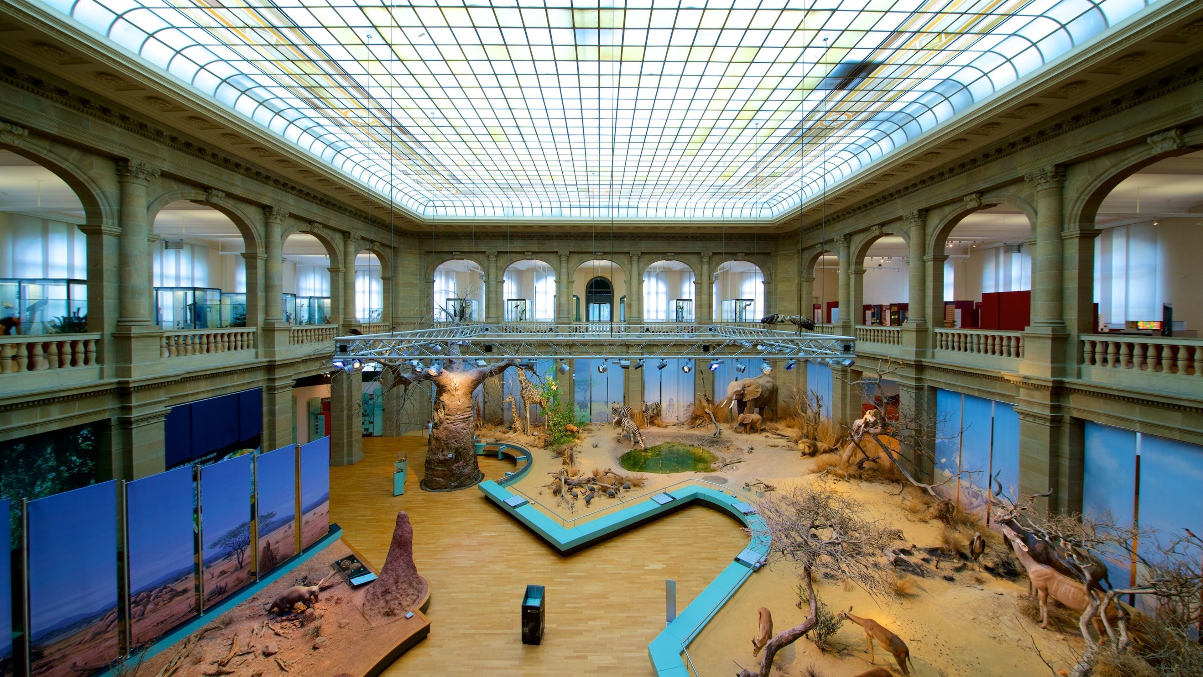 Alexander Koenig Research Museum