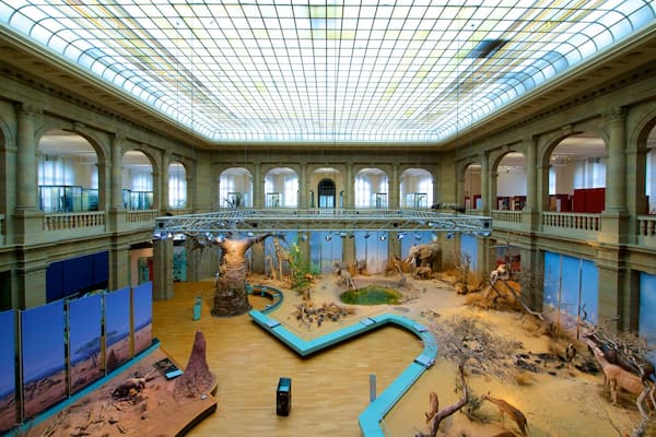 Zoologisches Forschungsmuseum Alexander Koenig