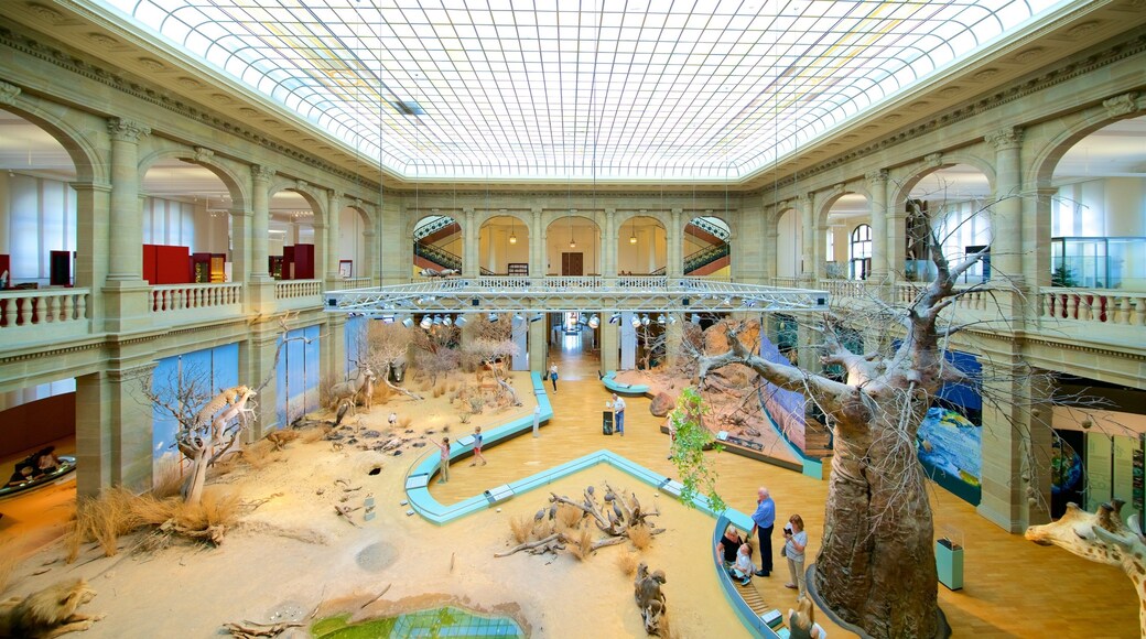 Alexander Koenig Research Museum