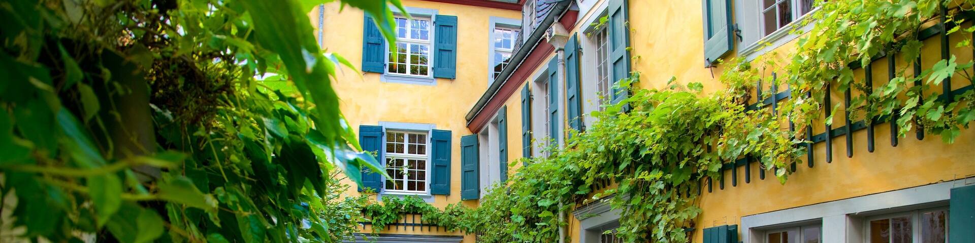 Zentrum which includes street scenes as well as a couple