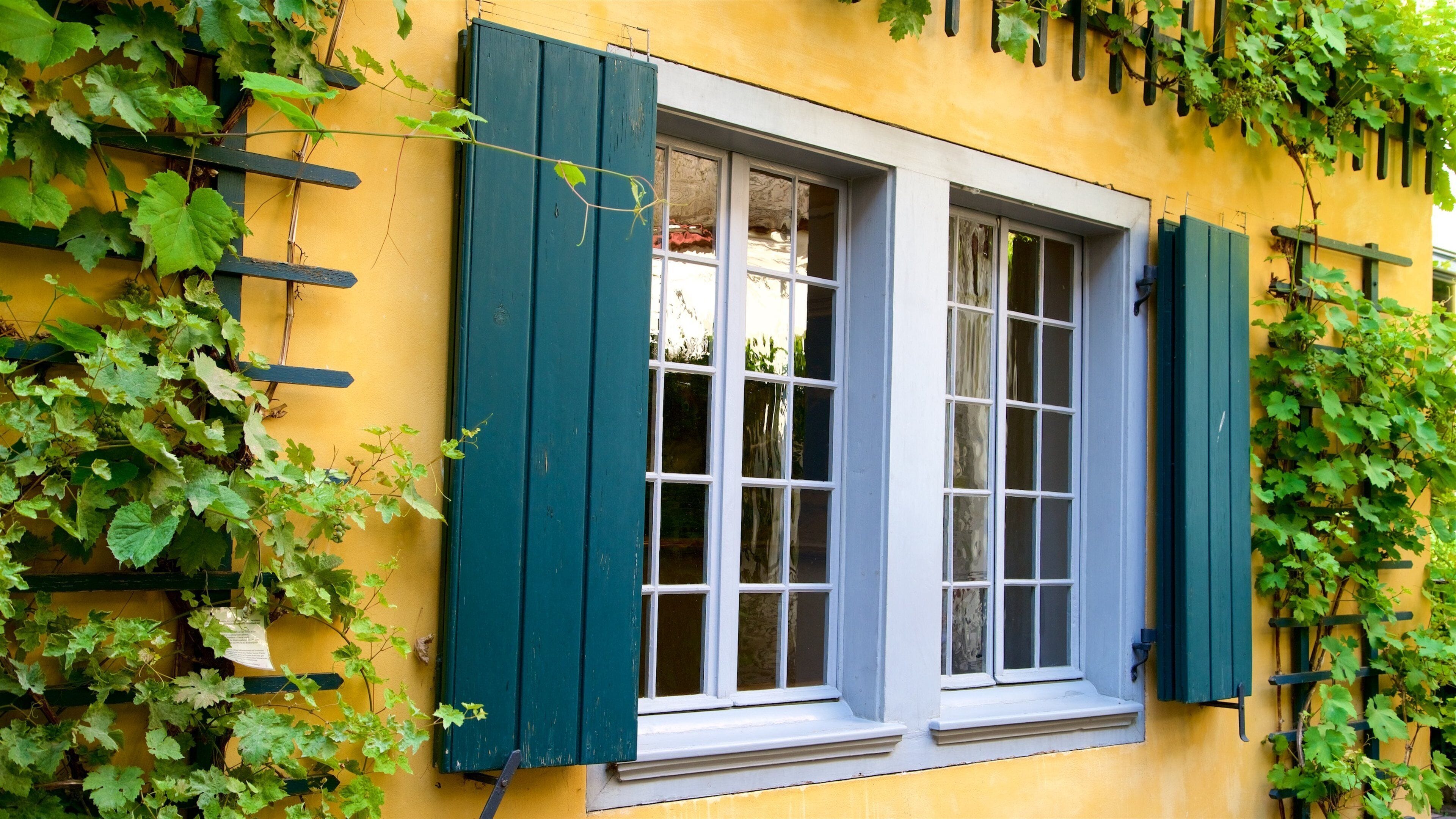 Beethoven House showing a house