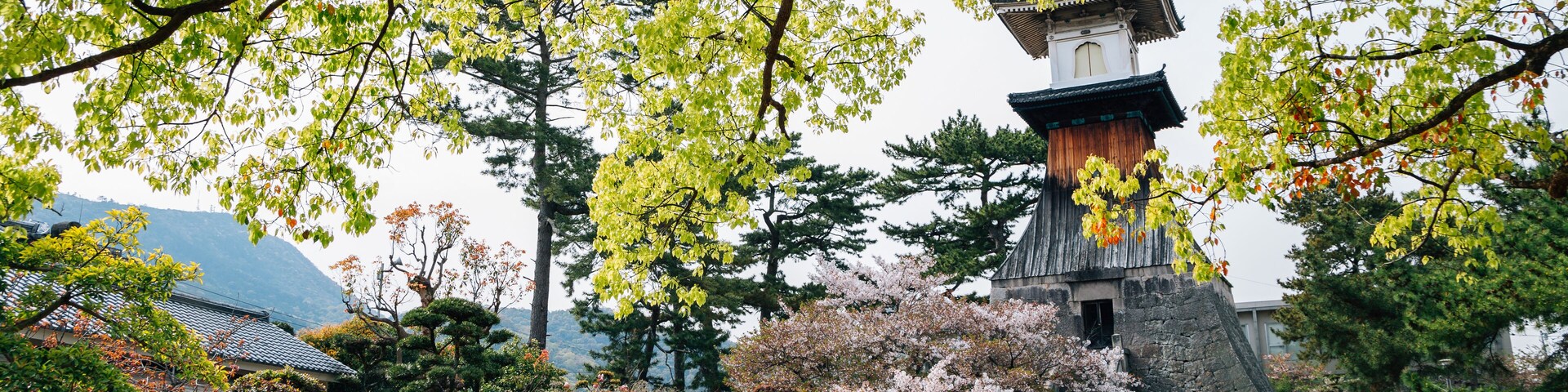Un templo japonés tradicional rodeado de cerezos en flor y una bicicleta.