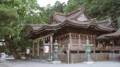Kotohira-gu Shrine in Kagawa 金刀比羅宮 御本宮拝殿 香川県・琴平町 こんぴらさん