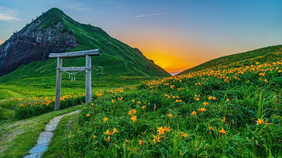 A mountain landscape with a wooden archway and a field of yellow flowers.