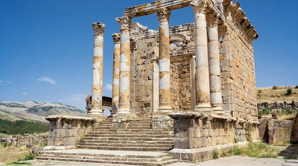 The Berbero-Roman ruins of Djemila (formerly Cuicul) are some of the best preserved in North Africa. The city was built in the 1st century AD by Rome and thrived until the fall of the Roman Empire between the 5th and 6th centuries. The ruins became a UNESCO World Heritage Site in 1982. The name of the city means "beautiful" in Arabic.
#Trovember #History