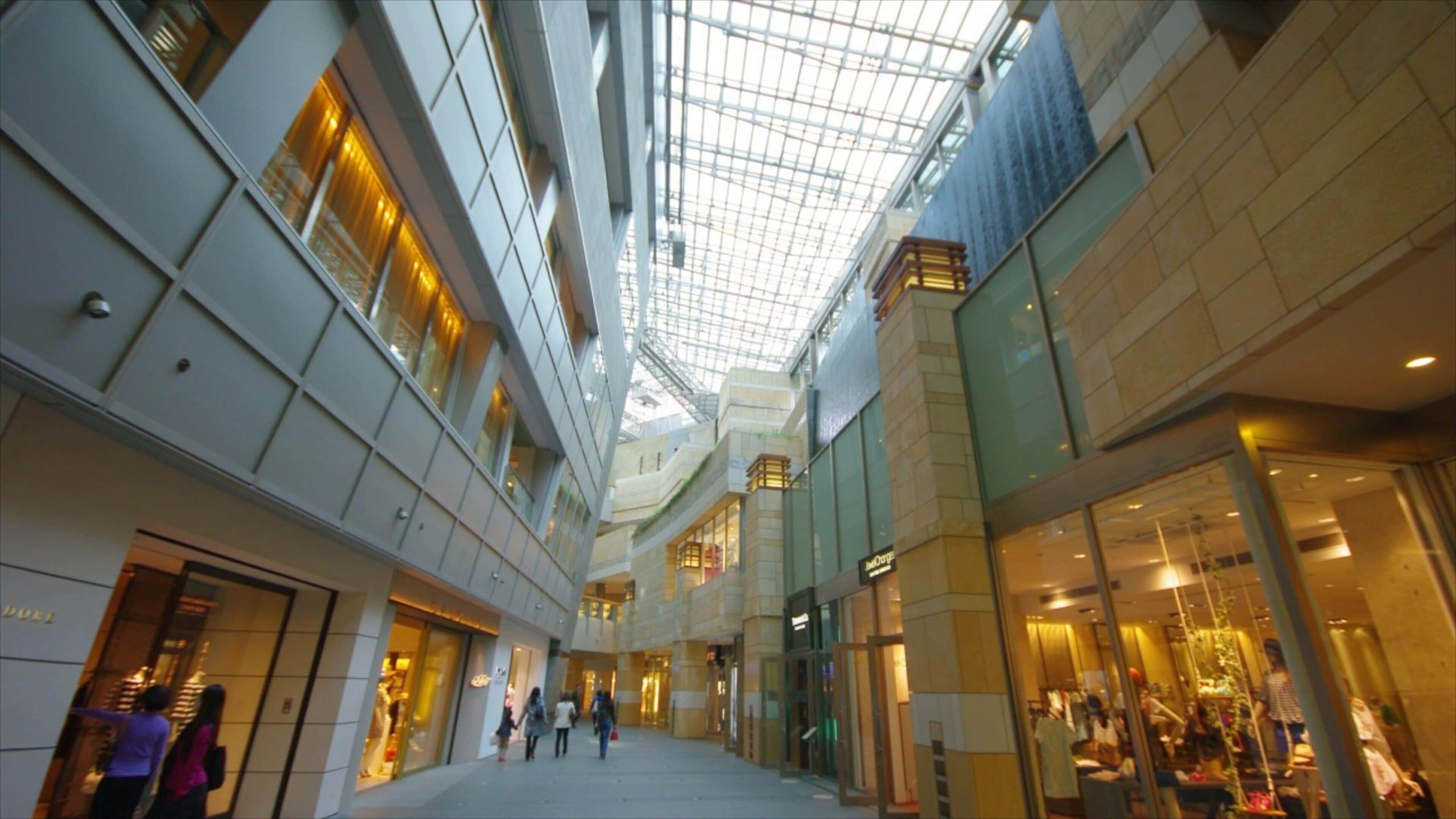 Roppongi Hills mostrando una ciudad, compras y vistas interiores