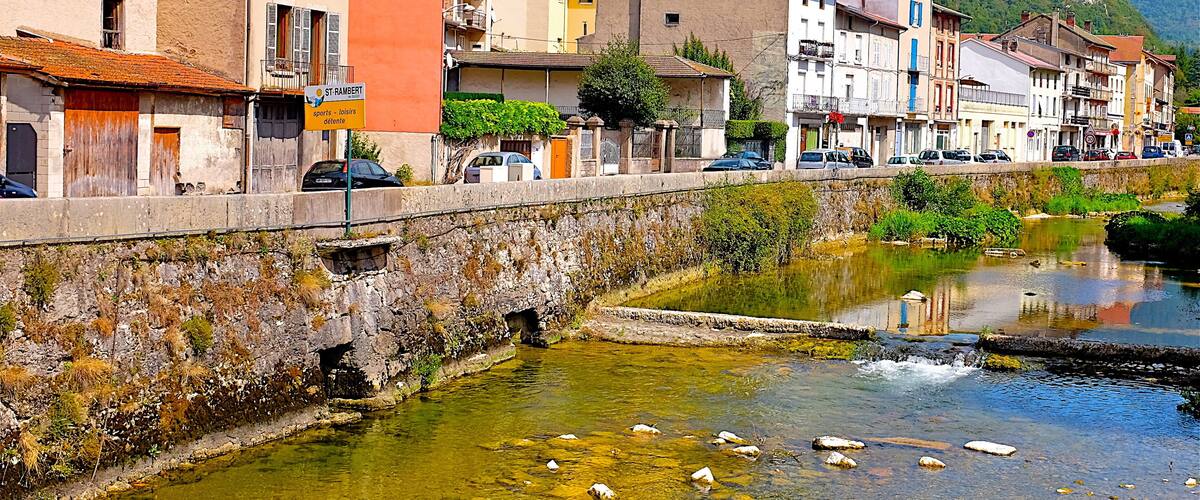 A riverside town with buildings, a bridge, and a mountain in the background.