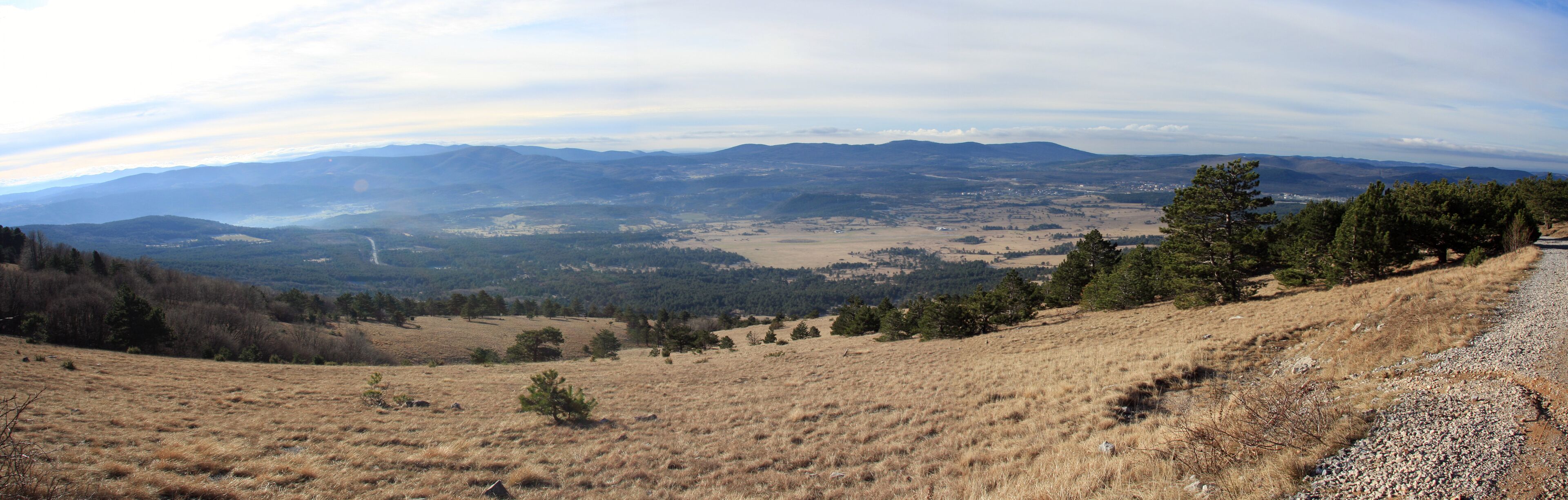 A grassy hillside with scattered trees and a distant mountain range.