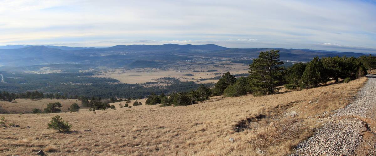 A grassy hillside with scattered trees and a distant mountain range.