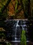 A waterfall cascading over moss-covered rocks in a forested area with autumn leaves.