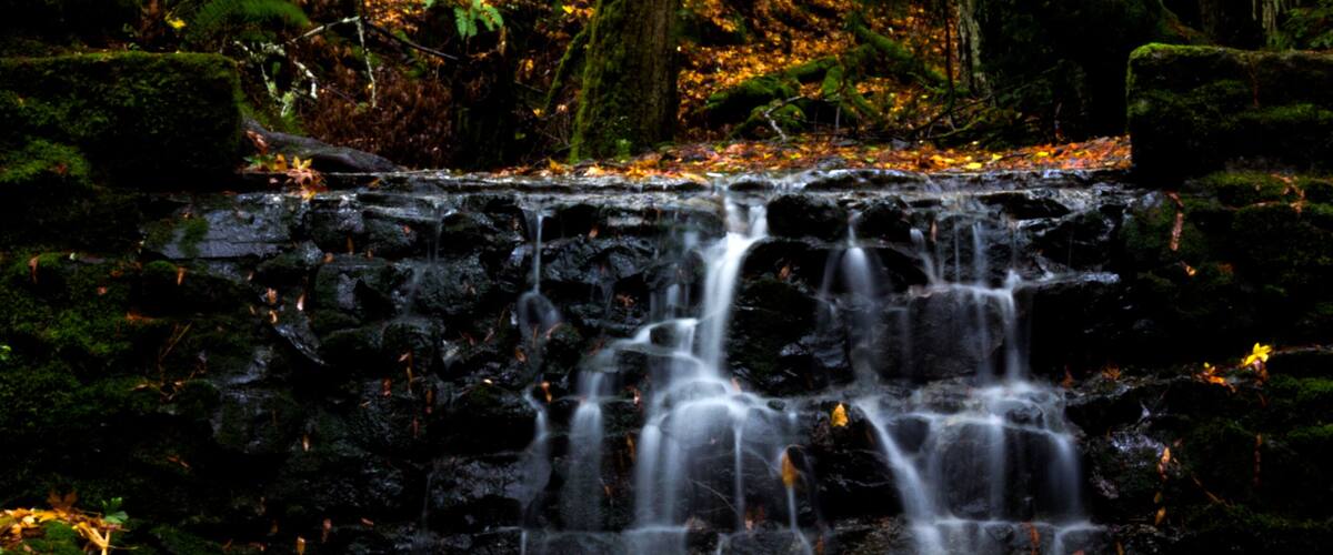 this is actually bill williams gulch, about a quarter mile from phoenix lake in ross, california. the dense redwood forest and waterfalls make this place feel literally magical.