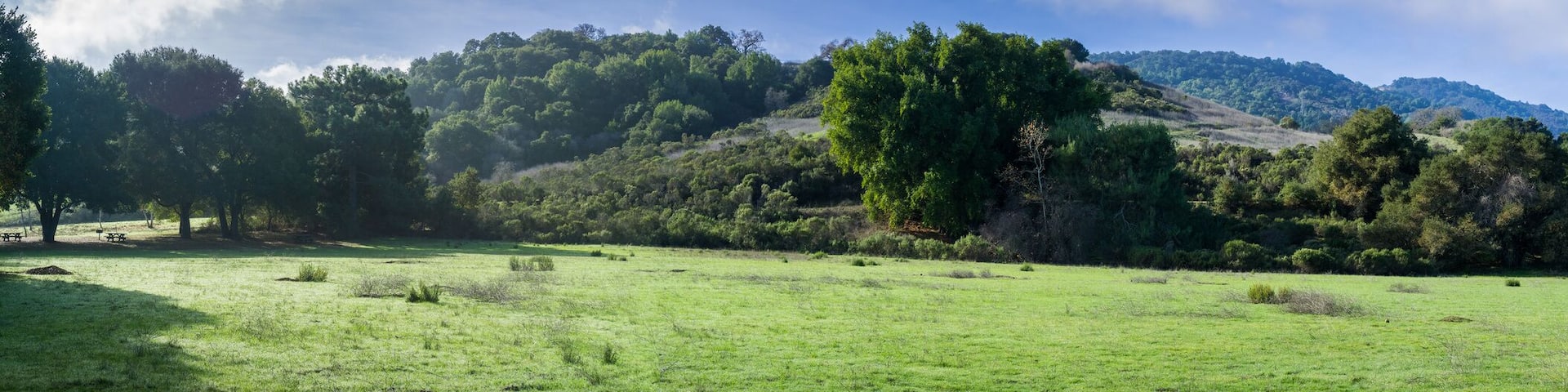 Panoramic view of a green meadow on a sunny morning in Rancho San Antonio County Park, Santa Cruz mountains, Cupertino, Santa Clara county, California