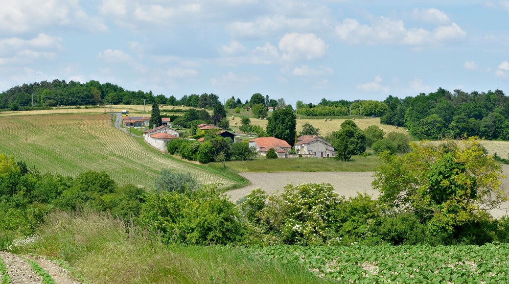 Farmsteads woods and fields, near Montmoreau-Saint-Cybard, Charente, France.
