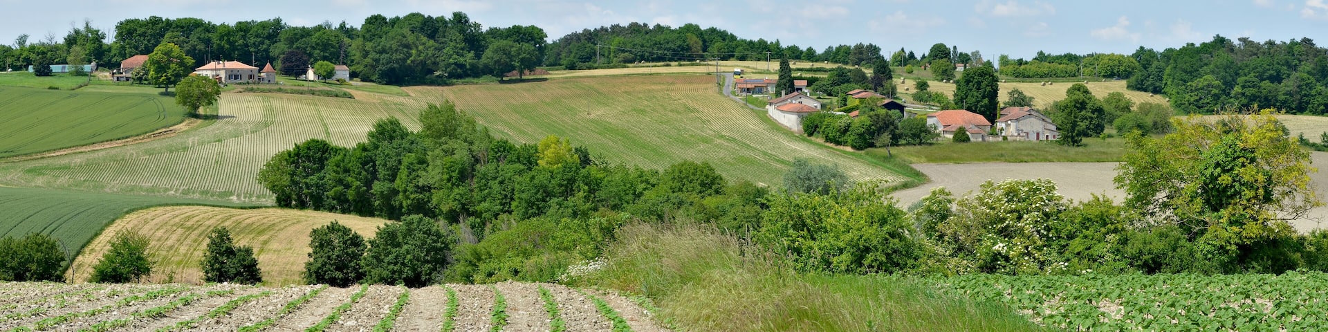 Farmsteads woods and fields, near Montmoreau-Saint-Cybard, Charente, France.