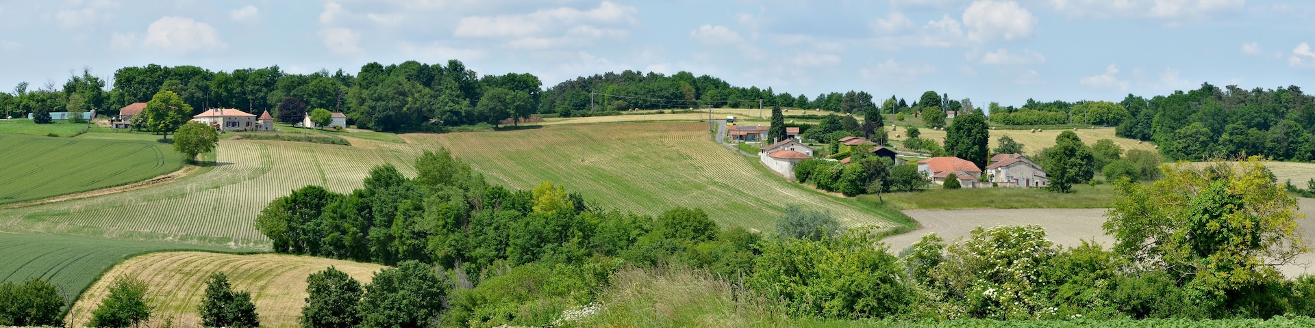 Farmsteads woods and fields, near Montmoreau-Saint-Cybard, Charente, France.