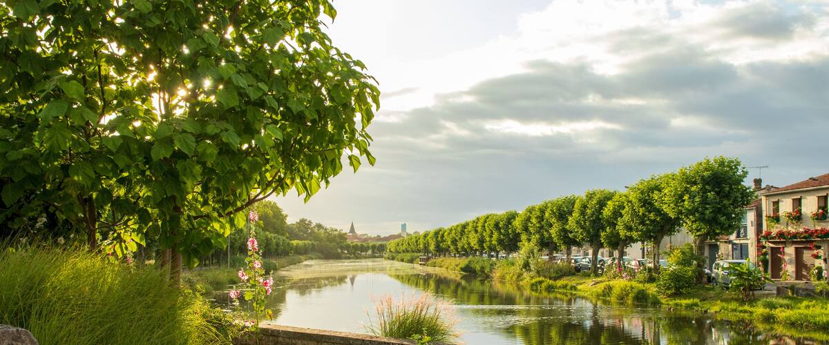 A calm river with a stone pathway, lush greenery, and buildings along the riverbank.