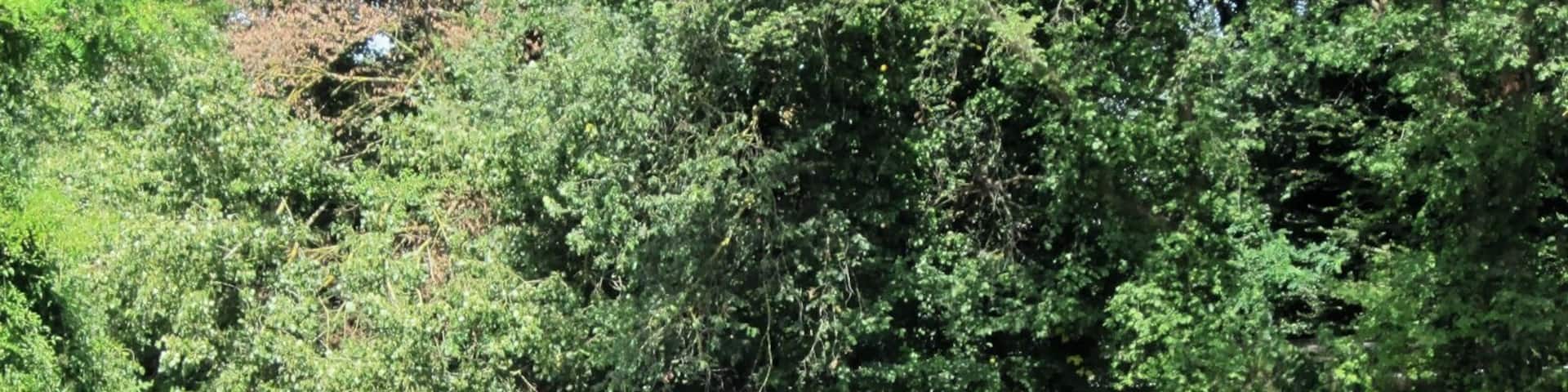 Water inlet of Ancien Canal du Rhône au Rhin near Neuf Brisach, Alsace, France