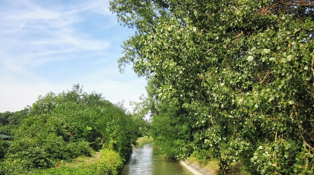 Water inlet of Ancien Canal du RhĂŽne au Rhin near Neuf Brisach, Alsace, France