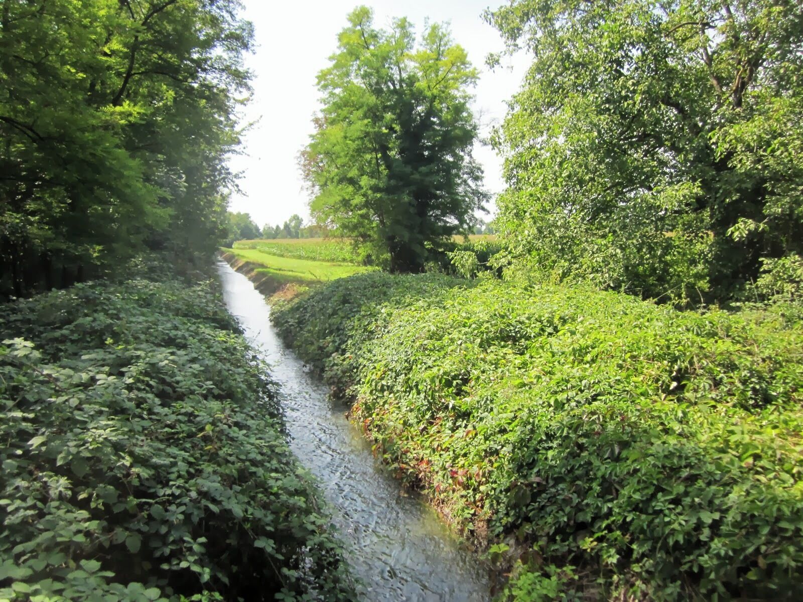 Water inlet of Ancien Canal du Rhône au Rhin near Neuf Brisach, Alsace, France