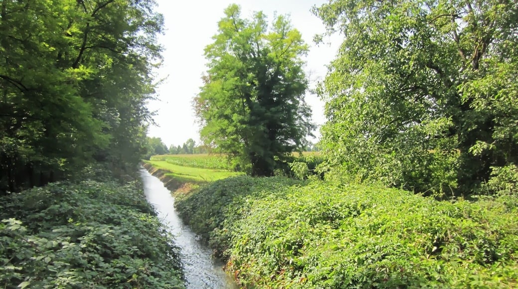 Water inlet of Ancien Canal du RhĂŽne au Rhin near Neuf Brisach, Alsace, France