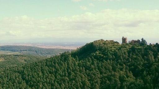 au loin Allemagne 🌳#plaine #alsace