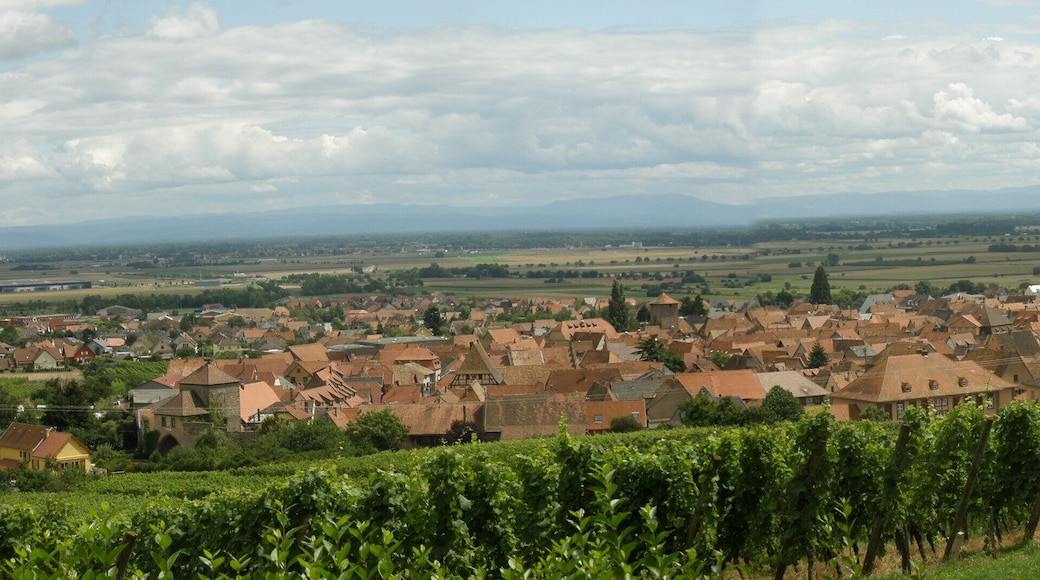 Panoramatický snímek vesnice Dambach-La-Ville ze tří fotografií, Alsasko, Francie