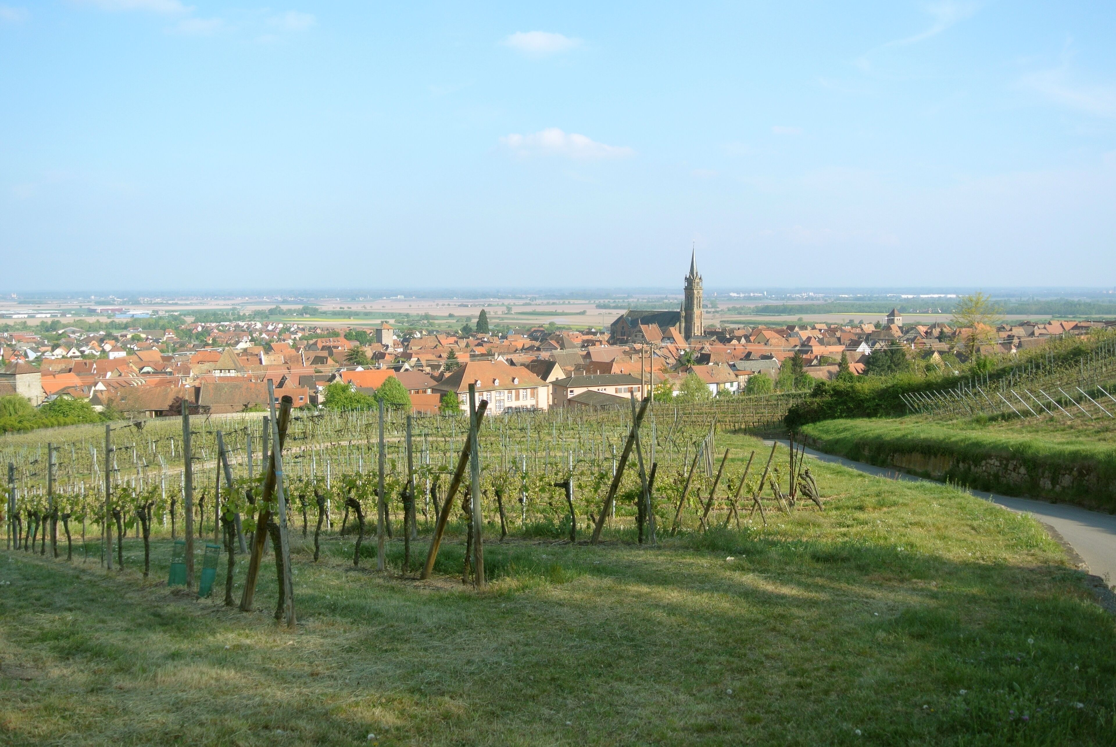 Panorama of Dambach-la-Ville, seen towards southeast and the plain.