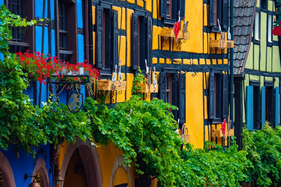Beautiful colorful half timbered house of the village of Riquewihr in Alsace France
