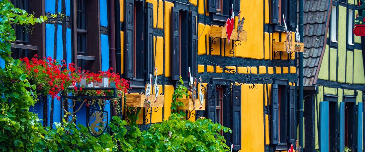 A colorful half-timbered building with vibrant yellow and blue facades, green foliage, and red flowers.