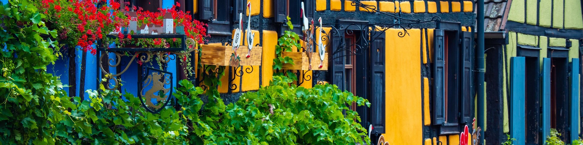 A colorful half-timbered building with vibrant yellow and blue facades, green foliage, and red flowers.