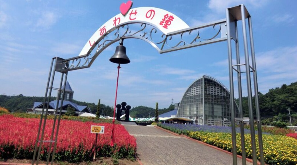 道の駅もてぎ 2011年8月