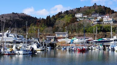 浜田港山の手 Hamada harbor & hills