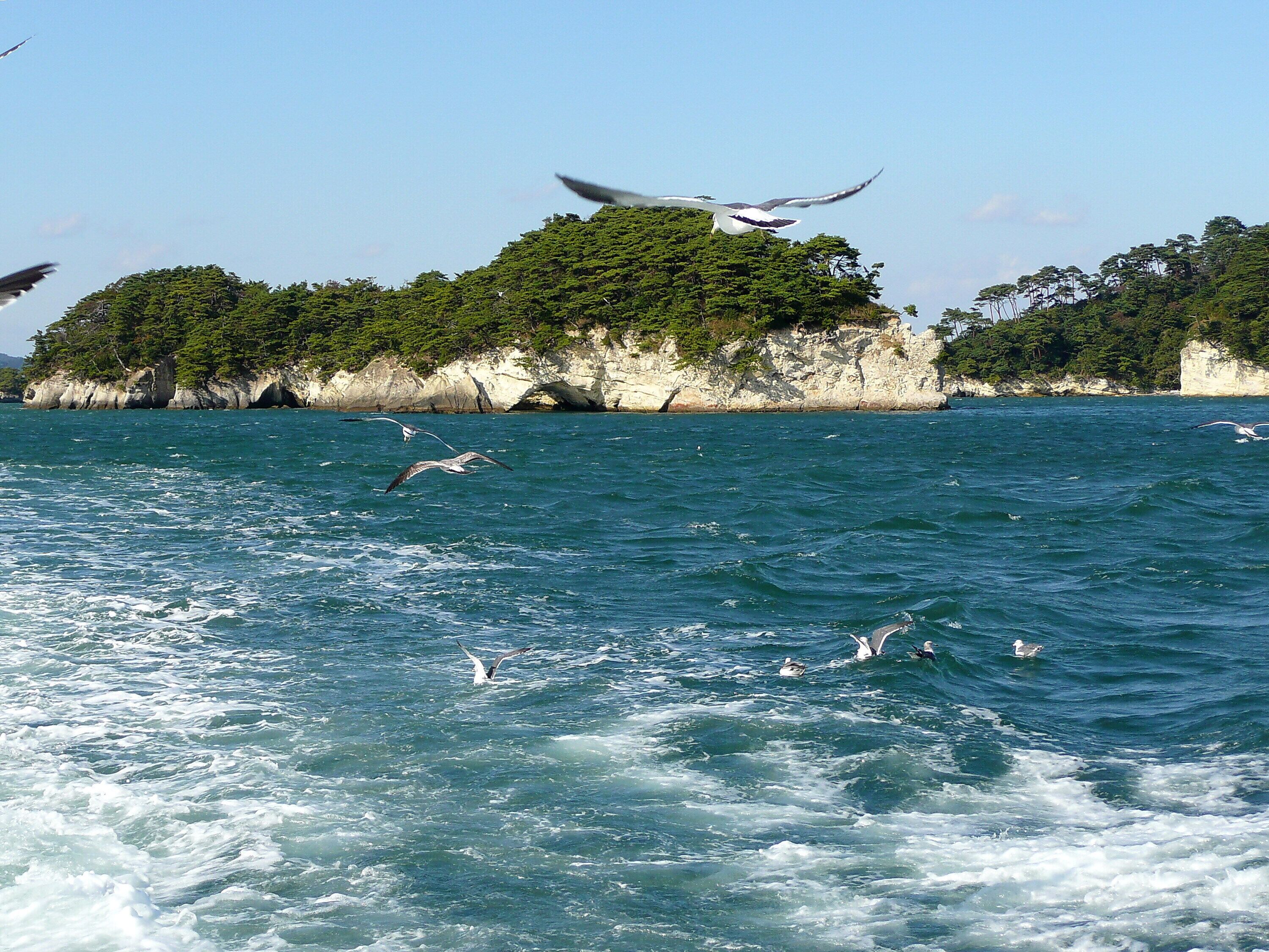 A coastal scene with a rocky cliff and lush greenery.