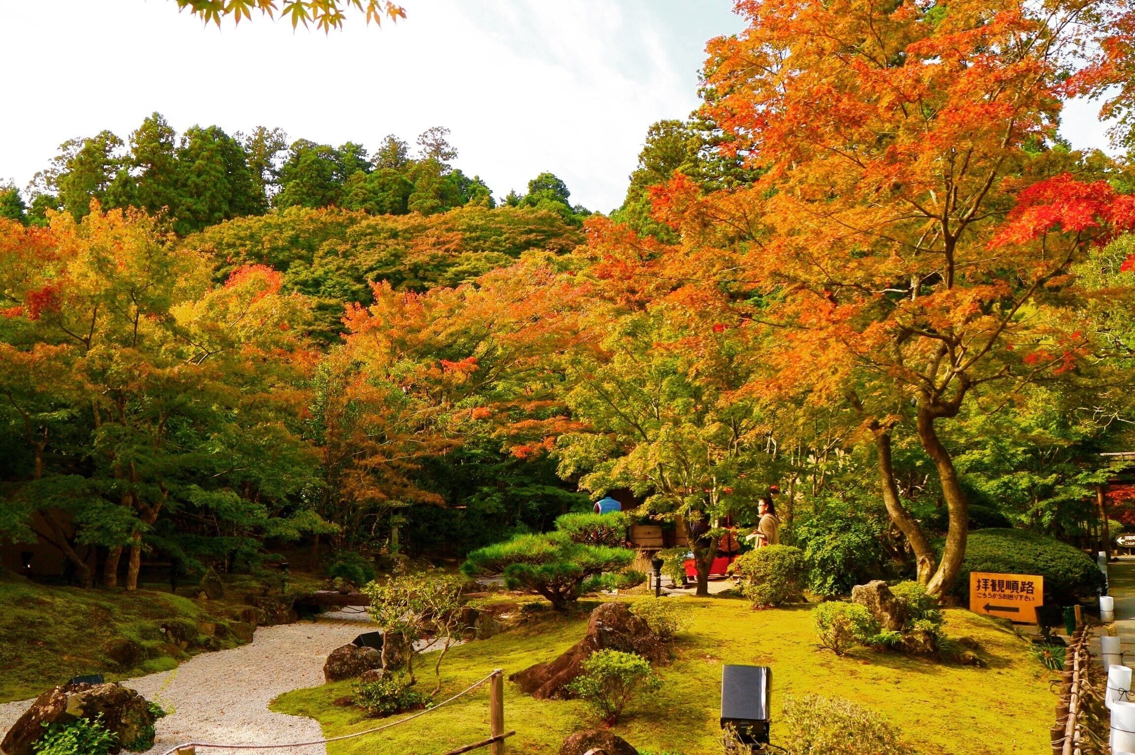 Un jardín japonés tranquilo con follaje otoñal, un sendero de grava y señalización tradicional.