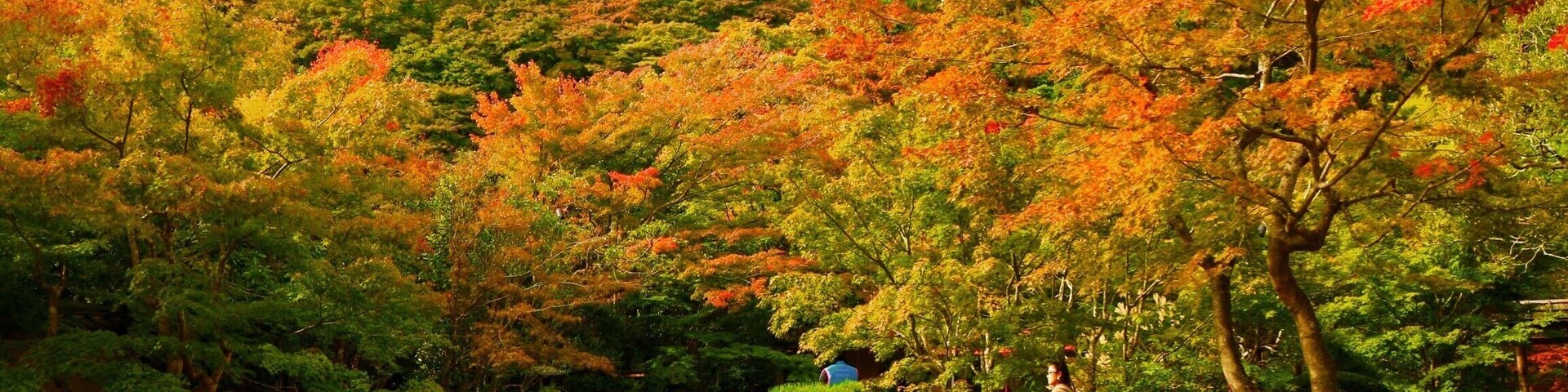 Un jardín japonés tranquilo con follaje otoñal, un sendero de grava y señalización tradicional.