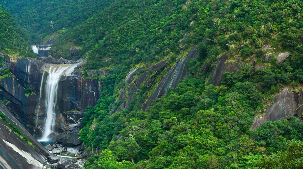 The Senpiro Falls on Yakushima Island, Japan