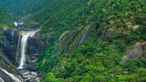 The Senpiro Falls on Yakushima Island, Japan