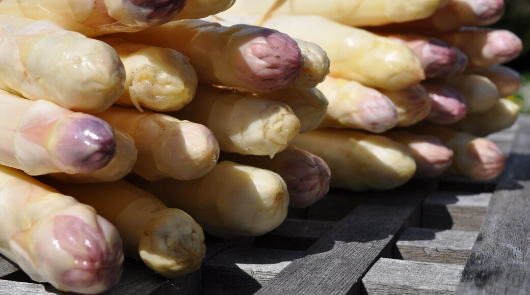 Asperges d'Alsace