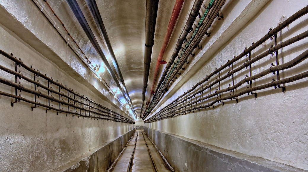 Ligne Maginot - Schoenenbourg