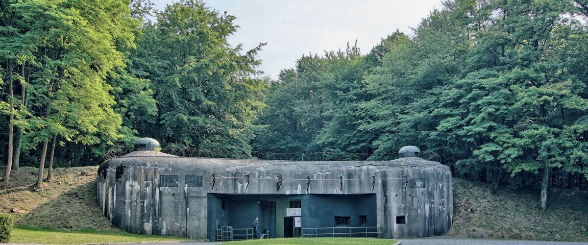 A concrete bunker with a dome roof, surrounded by dense forest.