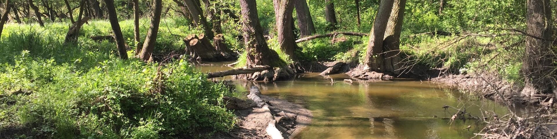 In my boyfriend's hometown 🌳