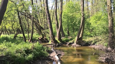 In my boyfriend's hometown 🌳