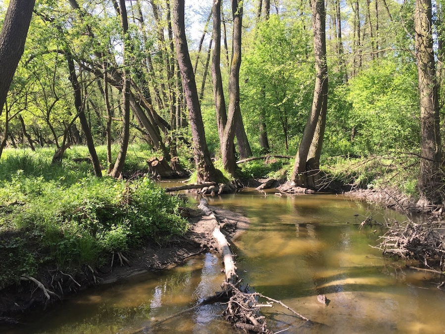 In my boyfriend's hometown 🌳