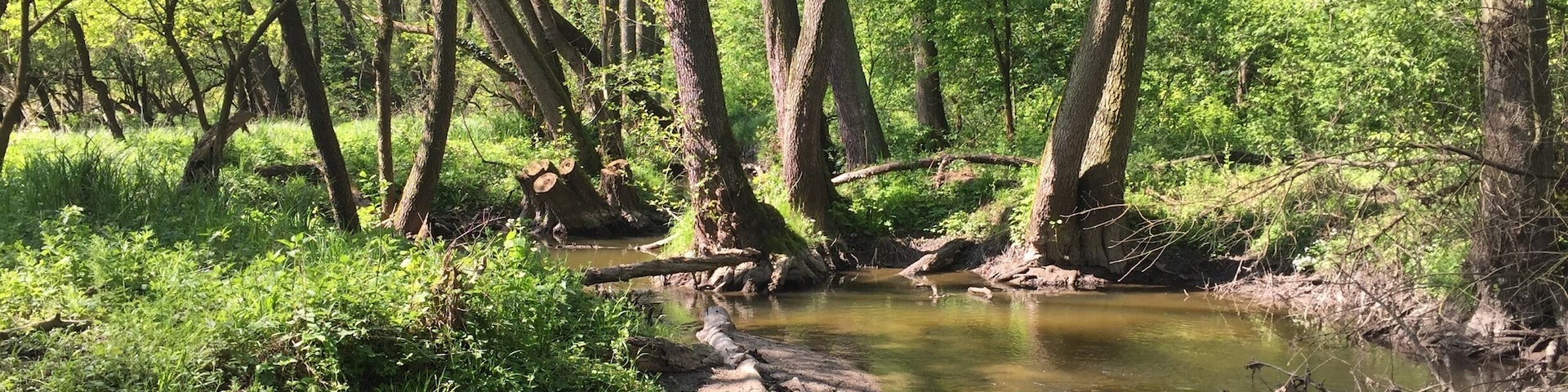 In my boyfriend's hometown 🌳